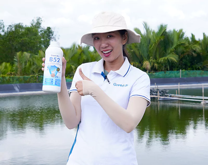Thảo dược B52 hỗ trợ điều trị phân trắng cho tôm