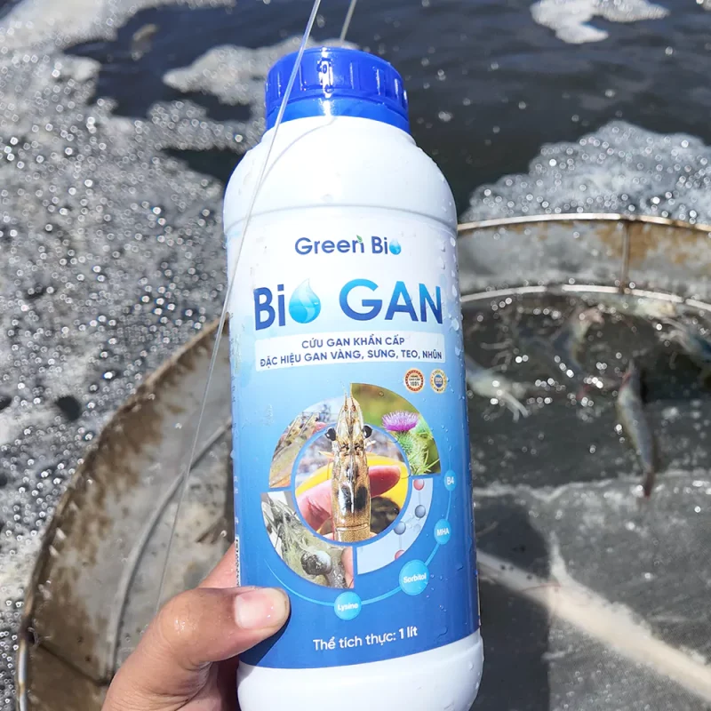 Bio Gan Hỗ trợ điều trị sưng gan viêm gan Bio Gan Hỗ trợ điều trị sưng gan viêm gan
