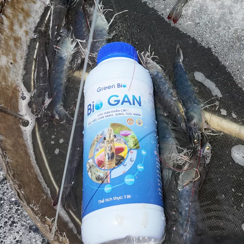 Bio Gan - Hỗ trợ phục hồi gan Tôm Bio Gan - Hỗ trợ phục hồi gan Tôm