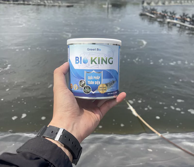 Bio King hỗ trợ điều trị EHP