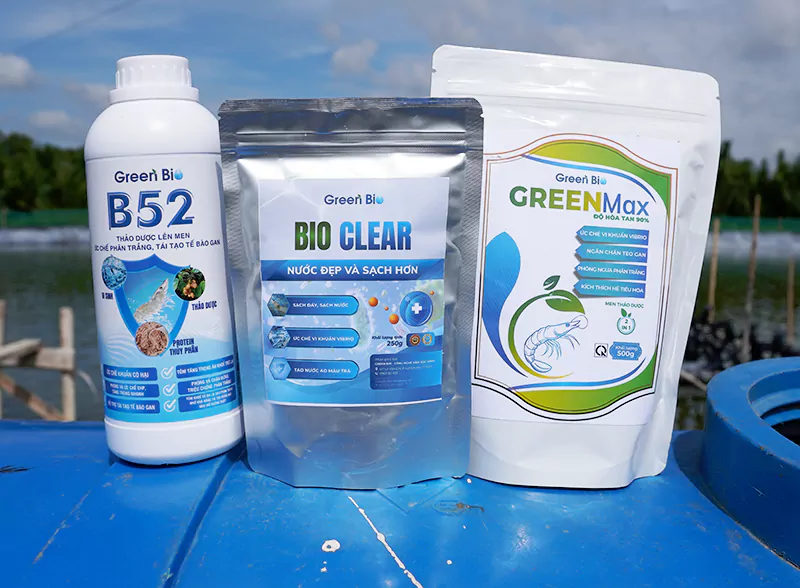 Green Max B52 và Bio Clear Green Max B52 và Bio Clear