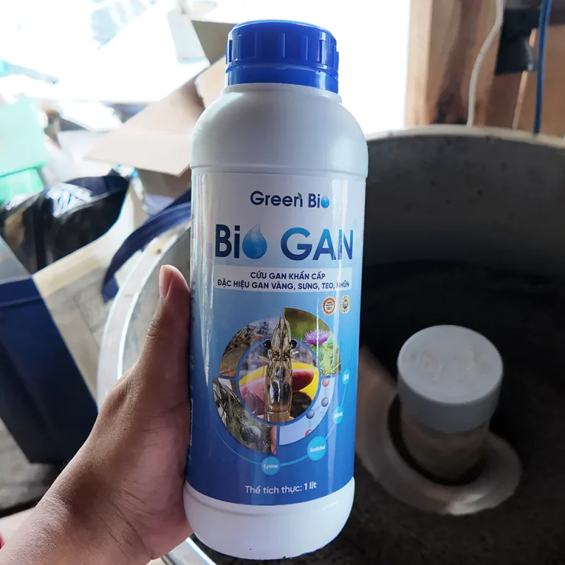 Sử dụng Bio Gan cho tôm Sử dụng Bio Gan cho tôm