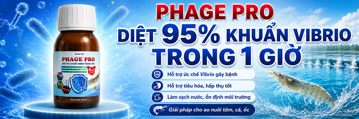 banner Phage Pro
