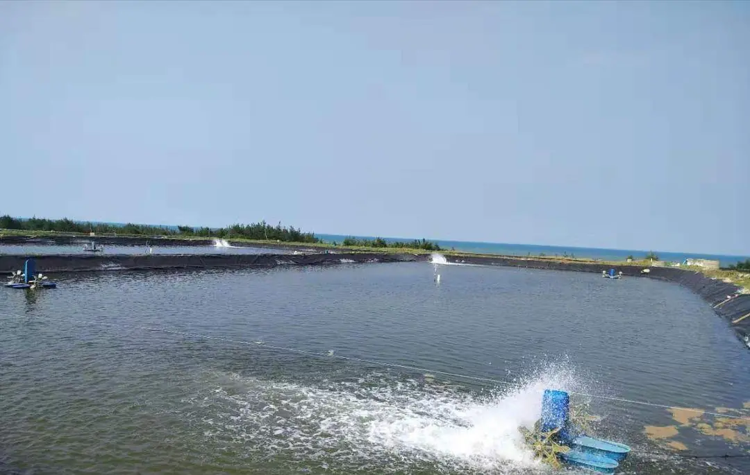 quản lý môi trường ao nuôi quản lý môi trường ao nuôi