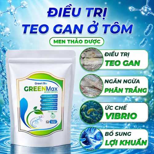 Green Max Điều trị Teo Gan