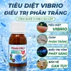 Phage Pro +