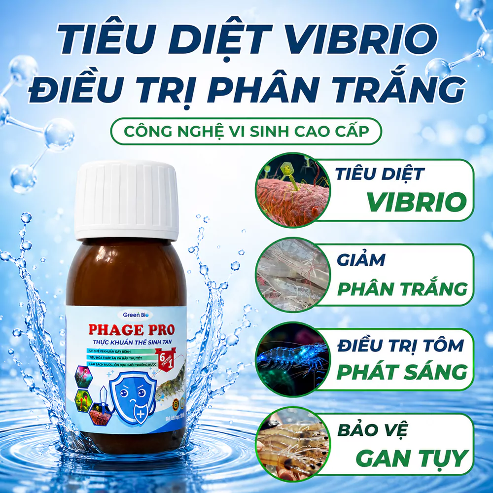 Phage Pro Tiêu diệt Vibrio