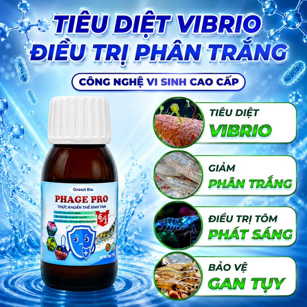 Phage Pro tiêu diệt Vibrio
