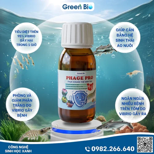 Phage Pro