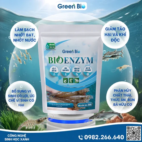 Bio Enzym