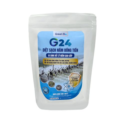 G24 - VI SINH CAO CẤP, XỬ LÝ NẤM ĐỒNG TIỀN