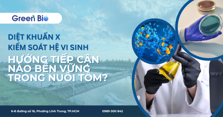 Diệt khuẩn và kiểm soát hệ vi sinh – hướng tiếp cận nào bền vững trong nuôi tôm?