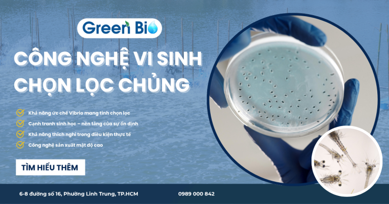 Công nghệ vi sinh chọn lọc chủng