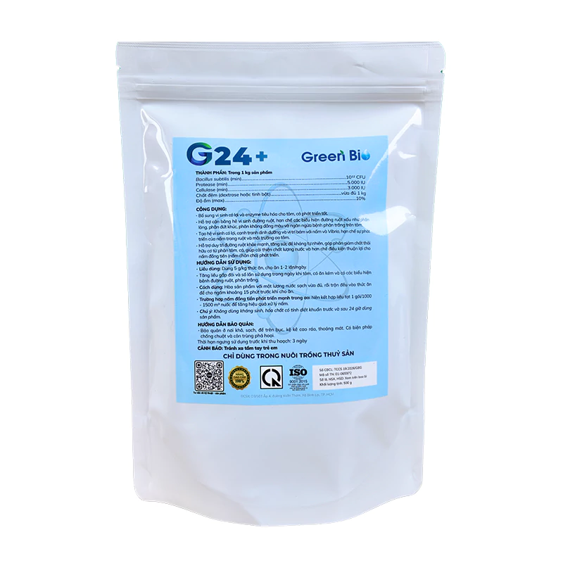 G24+ MS