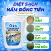 G24 xử lý nấm đồng tiền