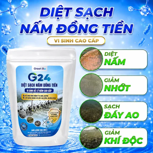 G24 xử lý nấm đồng tiền