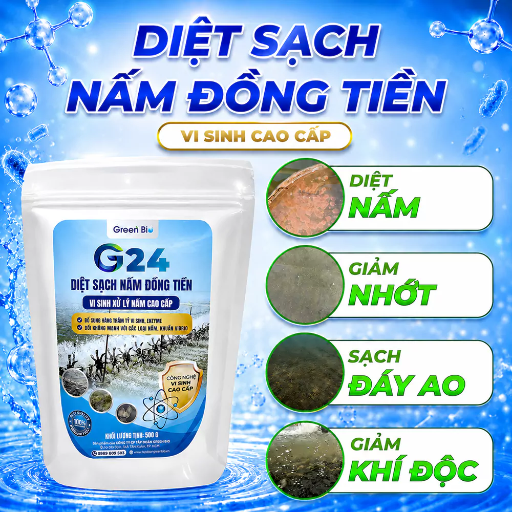G24 xử lý nấm đồng tiền