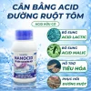 Nanocid Acid hữu cơ cho tôm