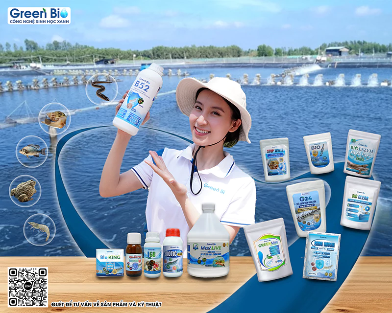 Banner Mobile Green Bio