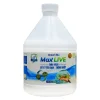 Max Live