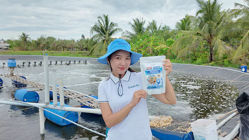 Ao tôm cần có hệ vi sinh ổn định