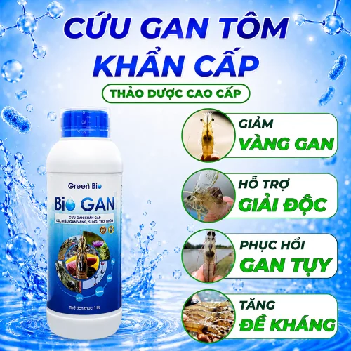 Bio Gan - Cứu gan tôm khẩn cấp