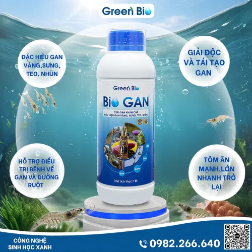 Sản Phẩm Bio Gan