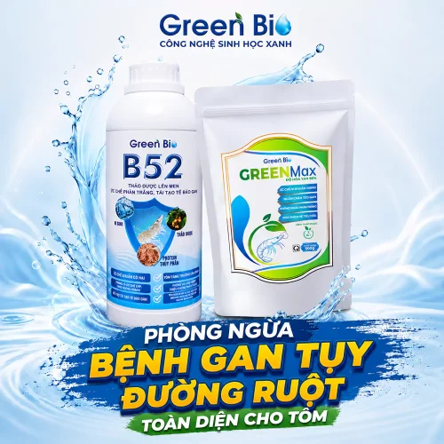 Combo bảo vệ gan tụy đường ruột cho tôm