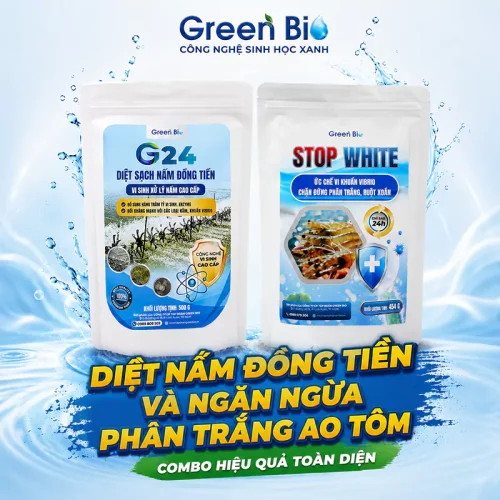 Combo Diệt nấm đồng tiền và ngăn ngừa phân trắng toàn diện cho ao tôm