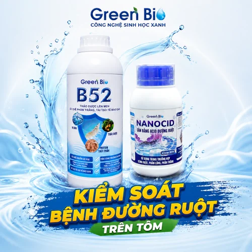 Combo kiểm soát bệnh đường ruột trên tôm