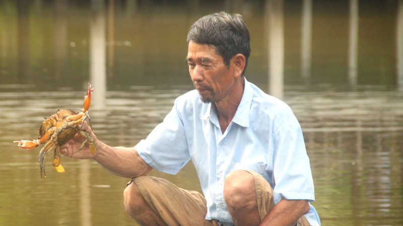 Ảnh người dân đang bắt cua Cà Mau