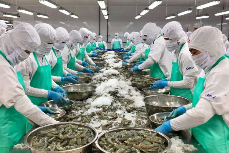 Thủy sản Việt Nam trước áp lực mới từ đề xuất thuế 12,5% của Hoa Kỳ
