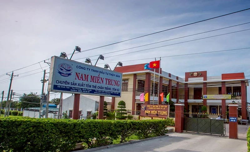 Công ty tôm giống Nam Miền Trung
