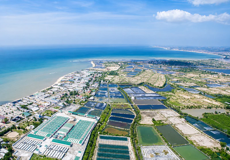 Thủ phủ tôm giống Việt Nam - Ninh Thuận (Lâm Đồng) Thủ phủ tôm giống Việt Nam - Ninh Thuận (Lâm Đồng)