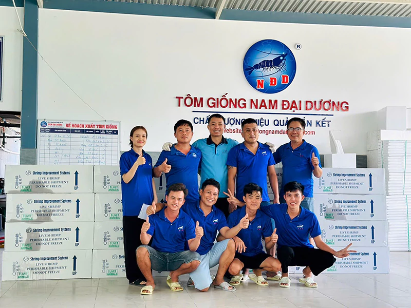 Tôm giống Nam Đại Dương Tôm giống Nam Đại Dương