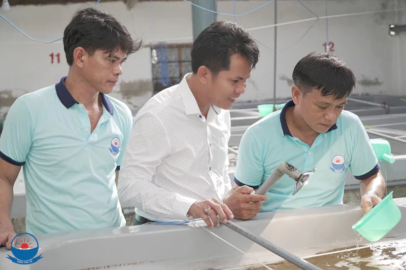 Tôm giống Thiên Phú VN
