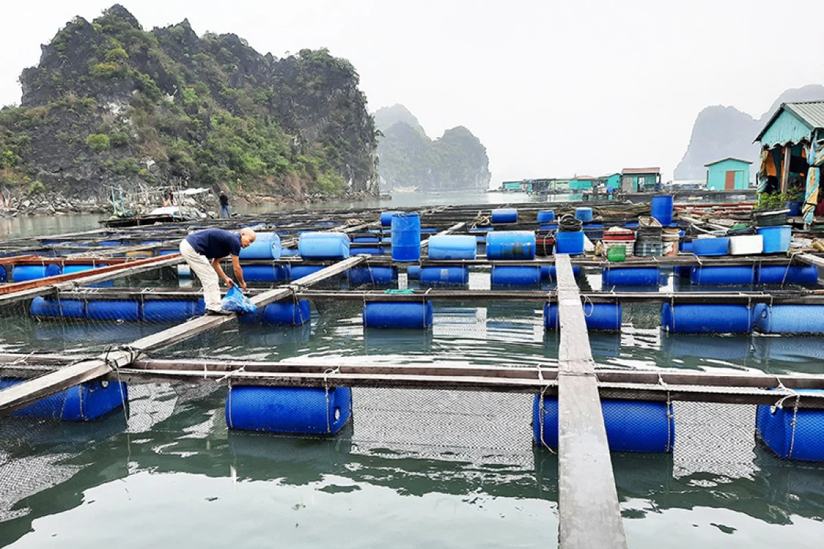 Việc kiểm tra phao, khung bè và lưới nuôi giúp bà con chủ động hơn trước các đợt mưa lớn, gió mạnh