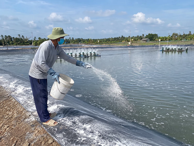 Chlorine xử lý nước ao nuôi tôm Chlorine xử lý nước ao nuôi tôm