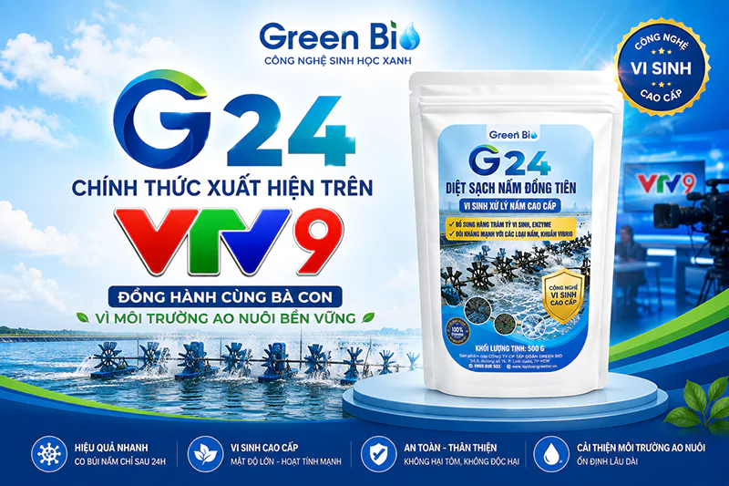G24 xuất hiện trên truyền hình VTV9 G24 xuất hiện trên truyền hình VTV9
