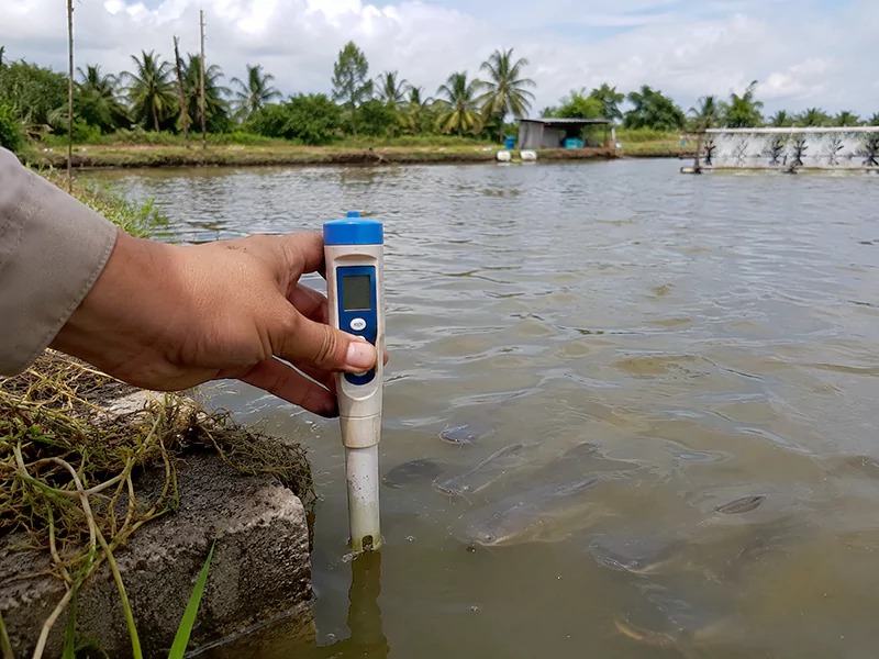 Kiểm tra pH ao nuôi Kiểm tra pH ao nuôi