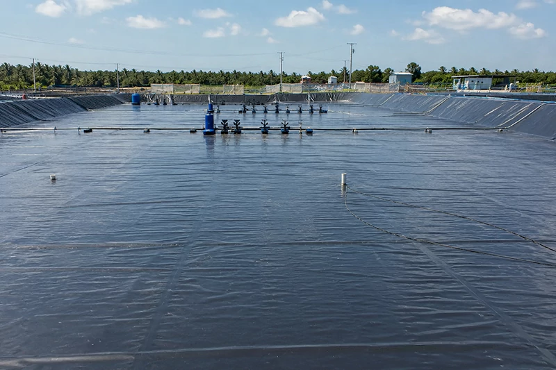 Phơi bạt HDPE ao tôm Phơi bạt HDPE ao tôm