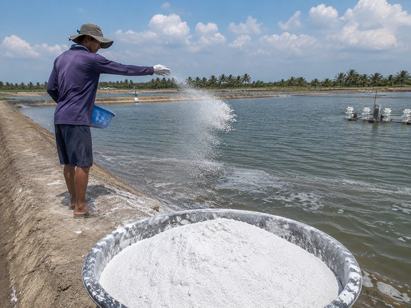Vôi thủy sản Vôi thủy sản