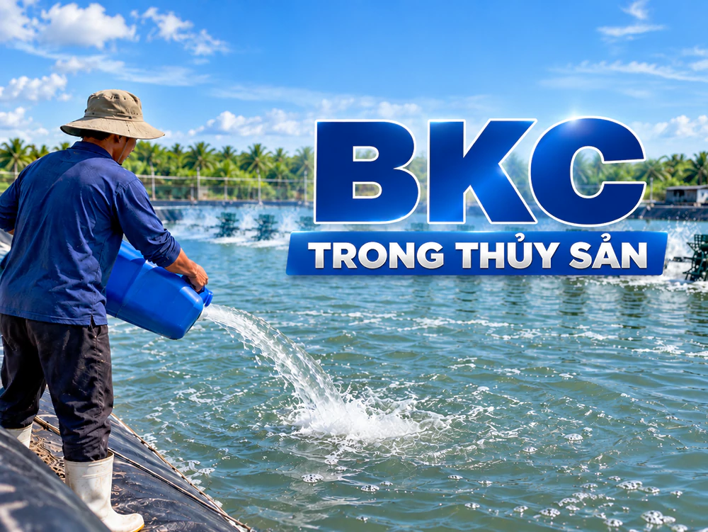BKC dùng trong thủy sản