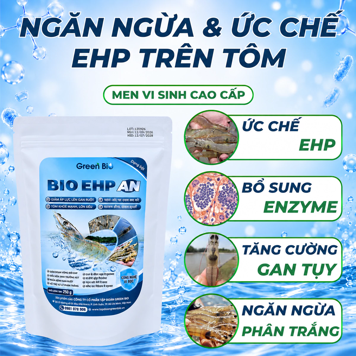 Bio EHP Ấn
