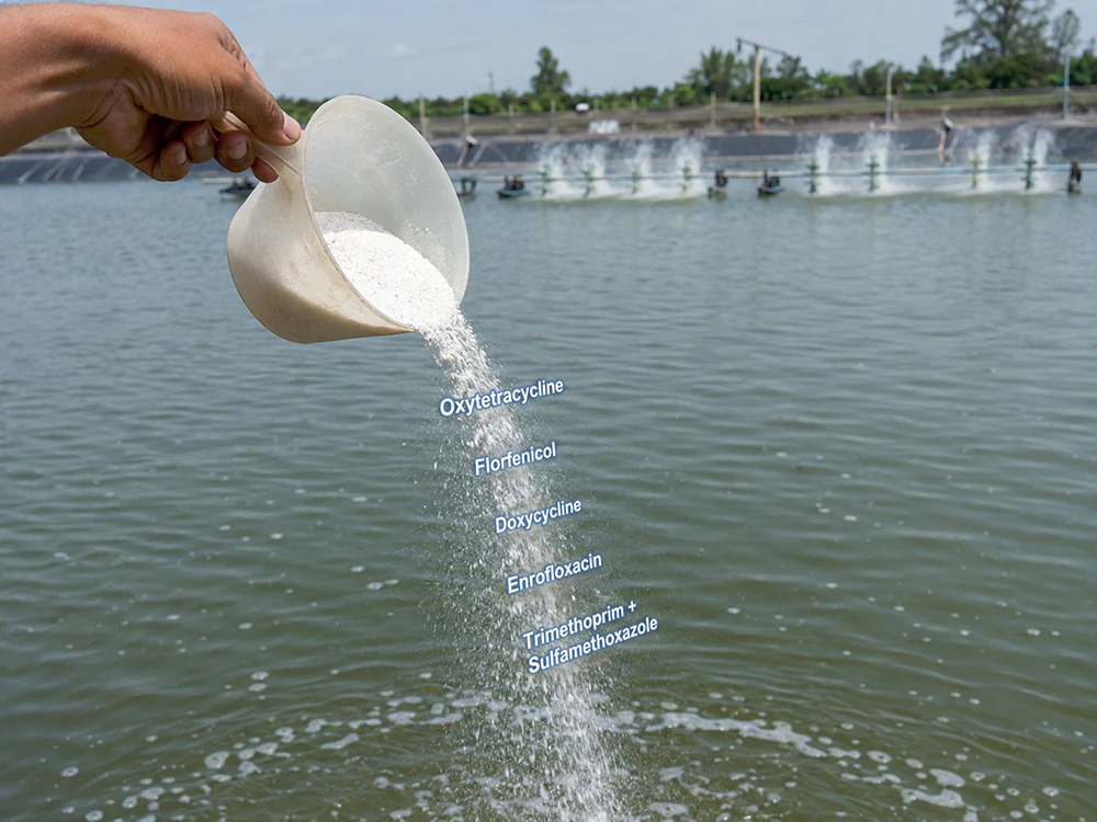 Kháng sinh thủy sản Kháng sinh thủy sản